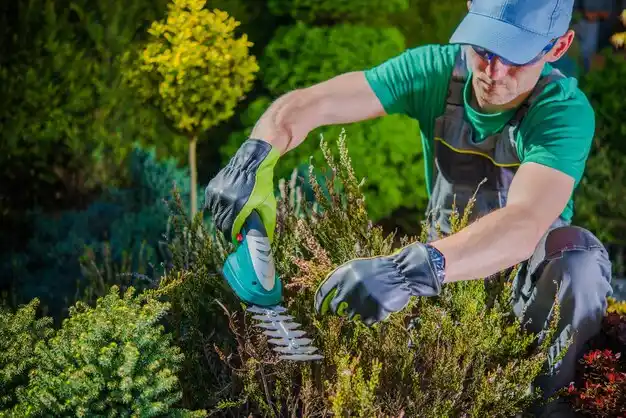 landscaping services Calcutta